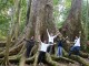 cuc phuong national park